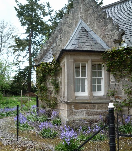 Haus in Schottland mit Bluebells