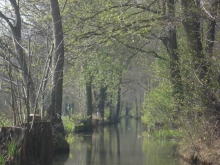 Spreewald