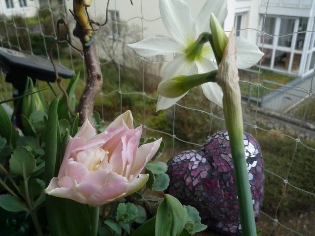 Frühling in Müllheim