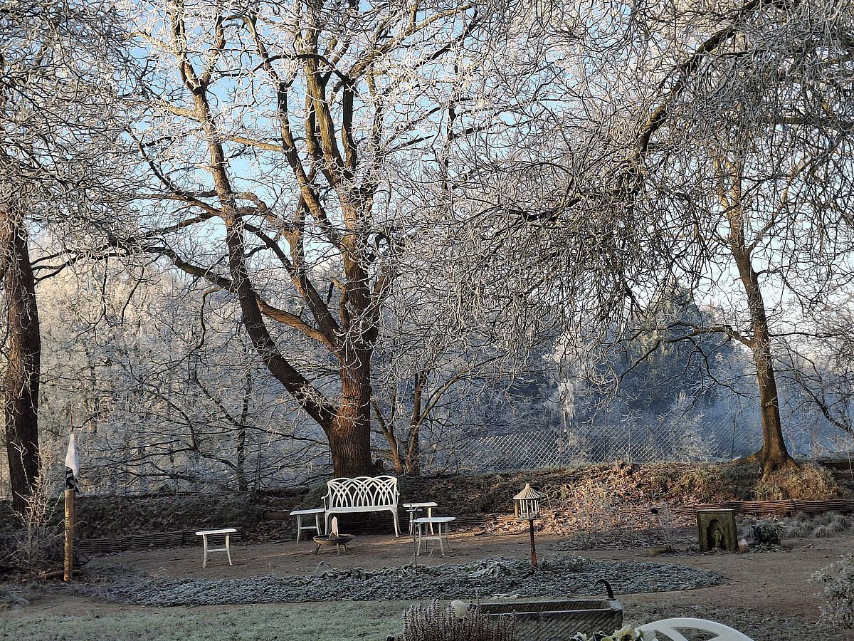 Garten im Winter